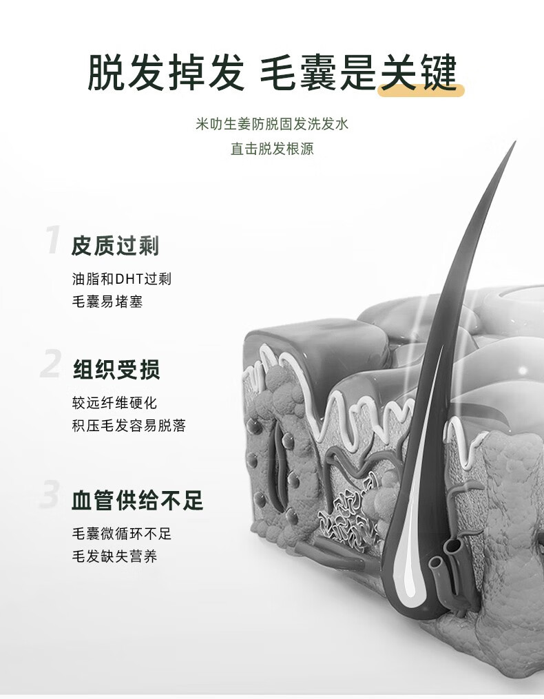 脫發(fā)掉發(fā)毛囊是關鍵   米叻生姜防脫固發(fā)洗發(fā)水   直擊脫發(fā)根源   皮質過剩 油脂和DHT過剩 毛囊易堵塞   組織受損 較遠纖維硬化 積壓毛發(fā)容易脫落   血管供給不足 毛囊微循環(huán)不足 毛發(fā)缺失營養(yǎng)