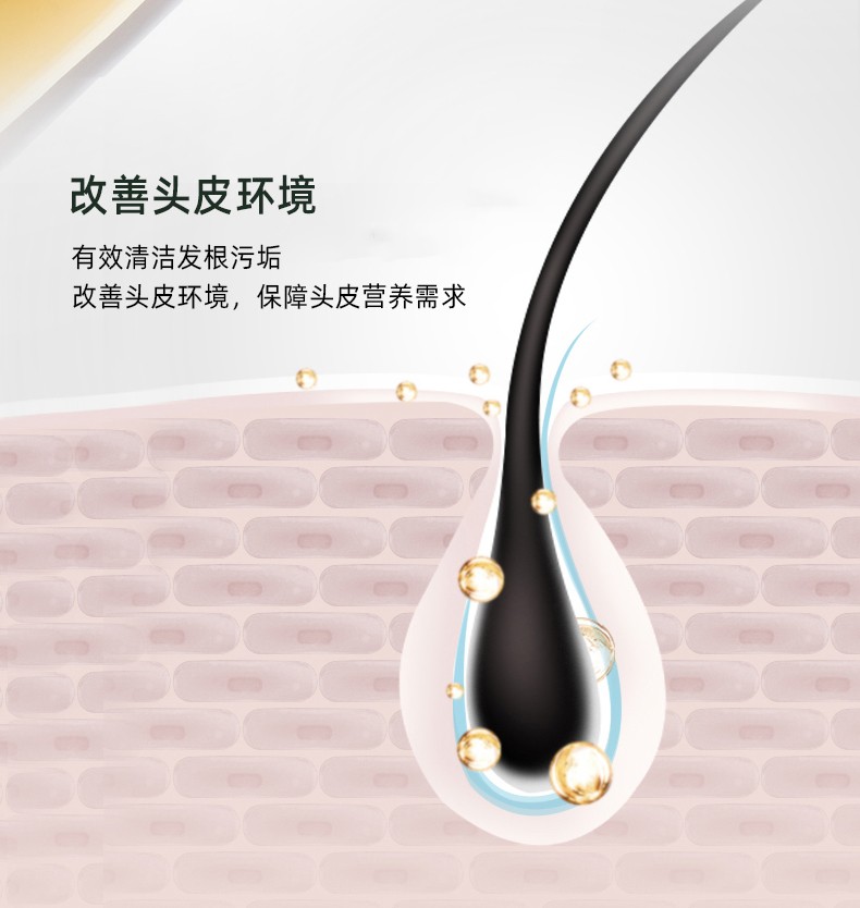 改善頭皮環(huán)境   有效清潔發(fā)根污垢   改善頭皮環(huán)境，保障頭皮營養(yǎng)需求